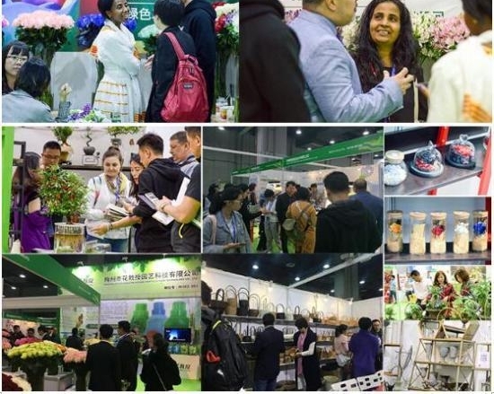 20193¹ݹʻչƳ³£ٶŹ