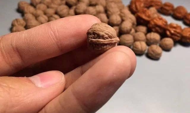 ����С������ֻҪС�ͺ���?