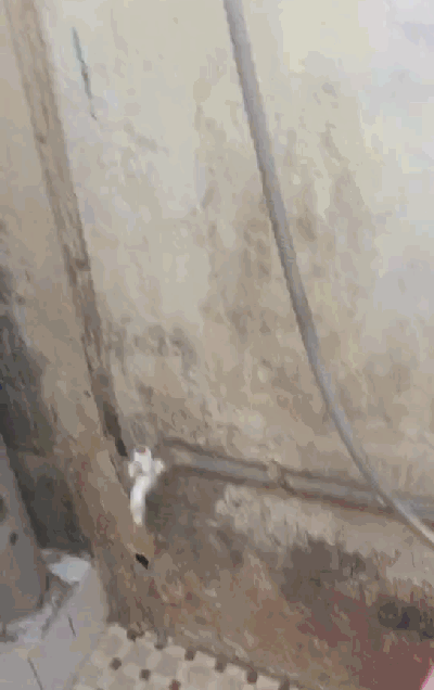 ����ϴ����������ˮ������ ר�ң���Ҫ��ϴ�߼���