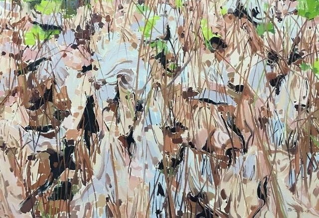 ����ݺɣ���λŮ���һ���ʱ�����ˡ���˽��