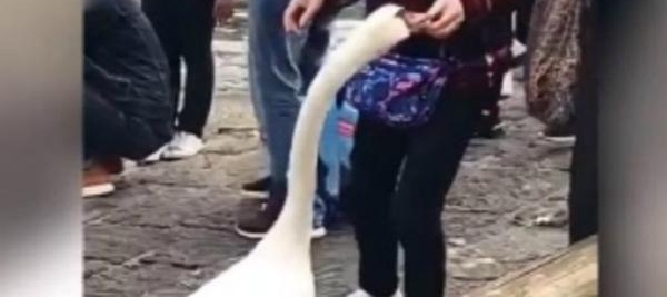 �������ح�й�������ʿŰ�죿���ѡ��Ժڡ����ȿ�����ʵ