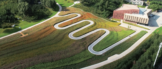 ����������ܹ�԰�߲����ﻨ������