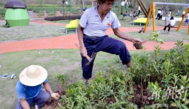 �ҵĹ���ح����������Ա��������ļ��أ������ǵġ���ְ������