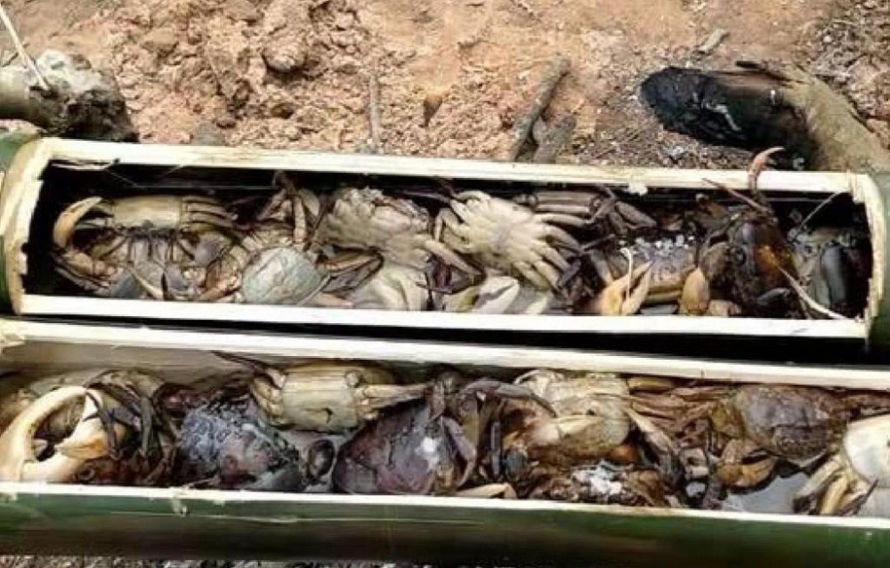 小伙做直播“条件差”,看到这些螃蟹,网友这顿没几千块吃不了