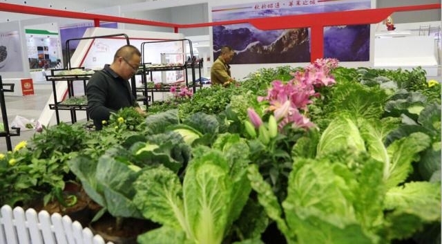 ƻ��Ҳ������ô�棿��ͨ���չ������Ϣ���ô�