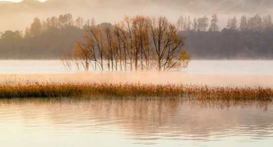 【纪检人·镜头】万物收藏 静待寒冬