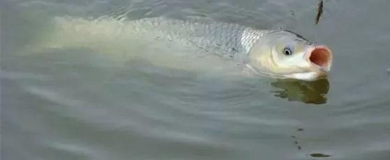 �������ŵ�����ϧ�㲻֪��