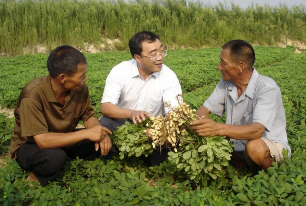 河南第11位!张新友院士荣获何梁何利基金奖