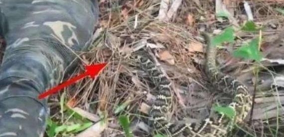 ����Ұ�������ߣ���������������һ����������ְ�ȫ�Ķ������