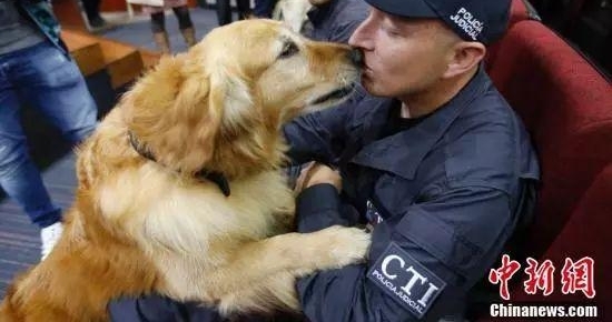 ����������� | 2018-09-23