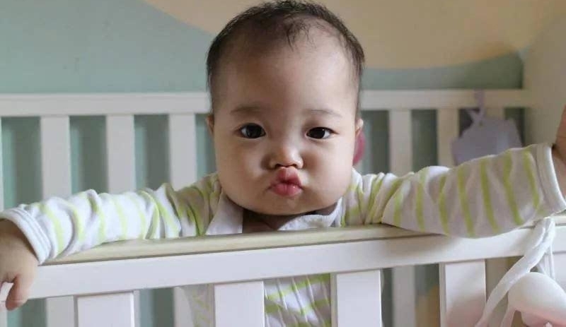 你刚下单的公益宝贝,给了1000多个“宝贝”重生的机会