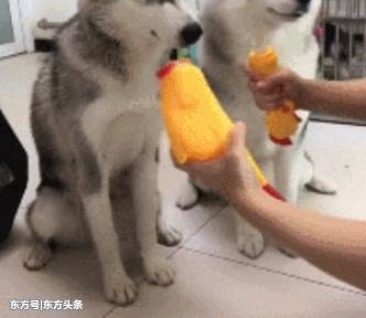 ʿ뼦ѣһ⡰Ѫϴ600ֳֻҲ̶á