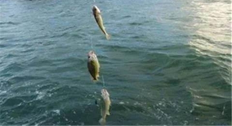 �����㼼�ɡ���ʱ����õ����ˣ���֪����