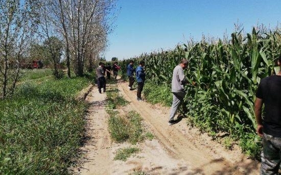 ������ С���а�Ůװ���Բ��ɱ�ǿ��