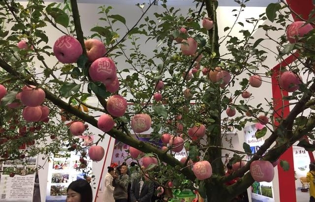 ƻ��Ҳ������ô�棿��ͨ���չ������Ϣ���ô�