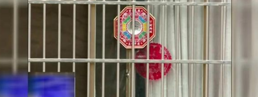 ��̨�Ҿ���а Ů��˵��������������