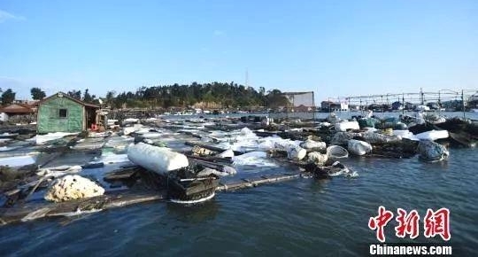 ̸̼šɫ䣿רңһԣǾ綾