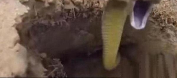 ӵԺݣоͷϲԣ̧ͷ˫Ȳܶ