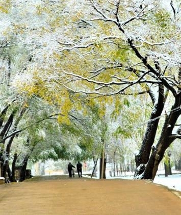 【纪检人·镜头】万物收藏 静待寒冬