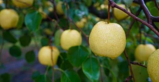 这个双“十一”,安徽好网货值得你“剁手”