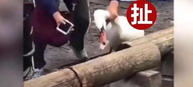 �������ح�й�������ʿŰ�죿���ѡ��Ժڡ����ȿ�����ʵ