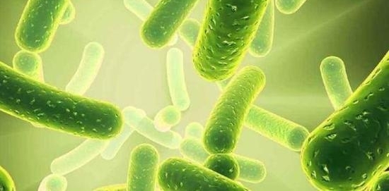 �������������滹�к�������ר�ң�����Ƭ����