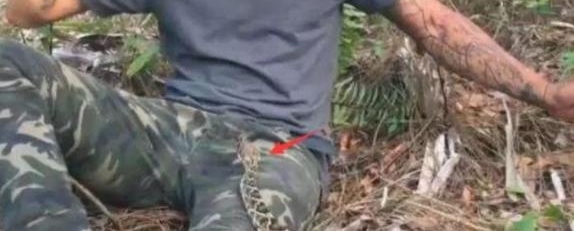 ����Ұ�������ߣ���������������һ����������ְ�ȫ�Ķ������