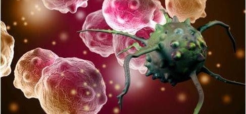 ֢ڲҪƻǷؼңҽ˴ʵ