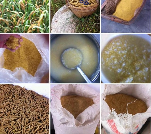 ƽ�ط��սڡ�����ϵ�ũ�塱