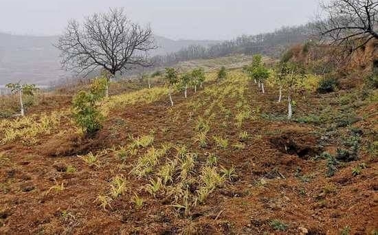 ʵʡί񲻹ҹ ¬Ѹ̻ж