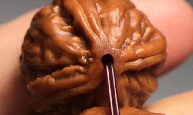 ����С������ֻҪС�ͺ���?