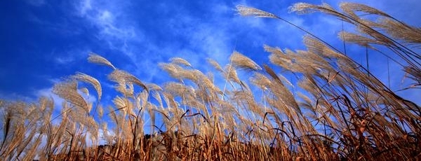 【纪检人·镜头】万物收藏 静待寒冬