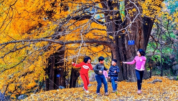 【纪检人·镜头】万物收藏 静待寒冬