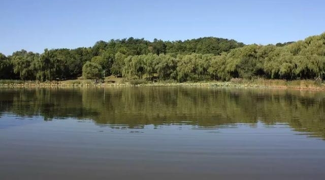 �ܶ���ʱ�������ż���ְ����ף�ĸ￪����ʮ�����黭��Ʒչ����