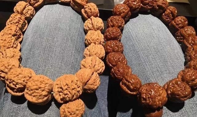 ����С������ֻҪС�ͺ���?