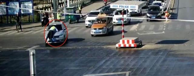 ���գ�������Ӽݳ��������񱼶����ף�ԭ�����в��ɸ��˵�è�塭��