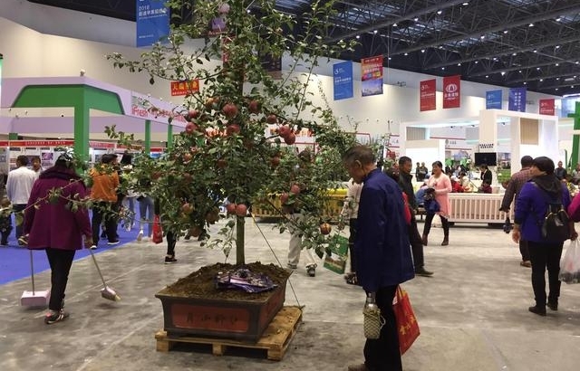 ƻ��Ҳ������ô�棿��ͨ���չ������Ϣ���ô�