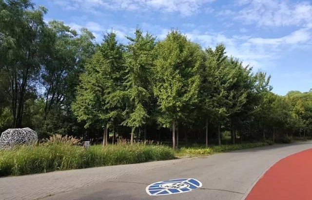 �ܶ���ʱ�������ż���ְ����ף�ĸ￪����ʮ�����黭��Ʒչ����