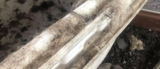 ̣ŮѰҰȮֺ ಿŲ鴦ϰٻȮ