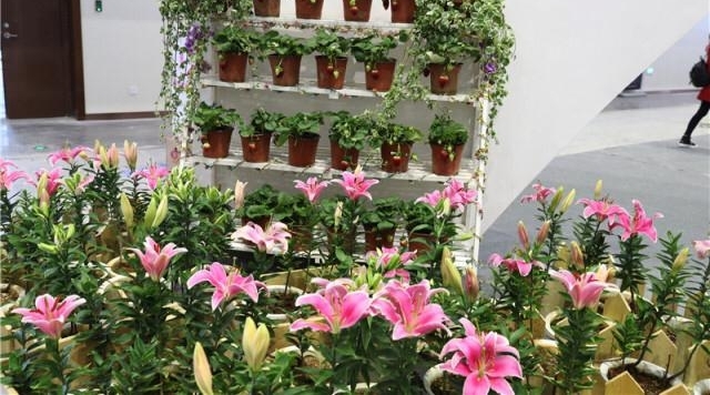 ƻ��Ҳ������ô�棿��ͨ���չ������Ϣ���ô�