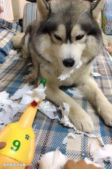 ʿ뼦ѣһ⡰Ѫϴ600ֳֻҲ̶á