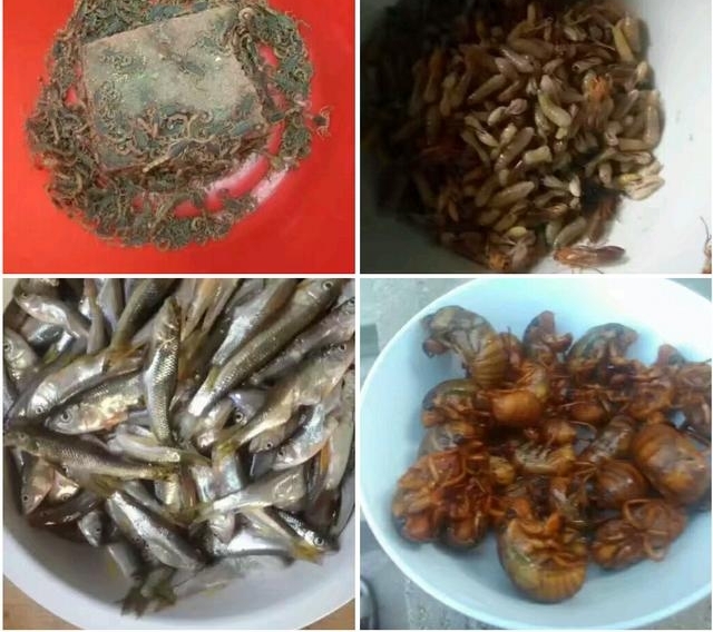 ƽ�ط��սڡ�����ϵ�ũ�塱