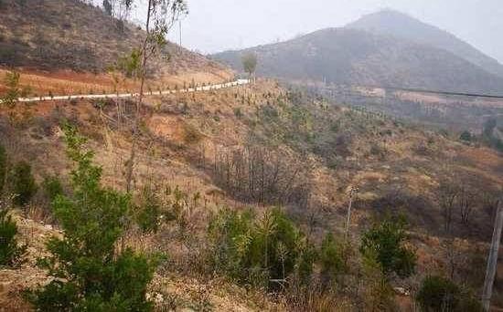 ʵʡί񲻹ҹ ¬Ѹ̻ж