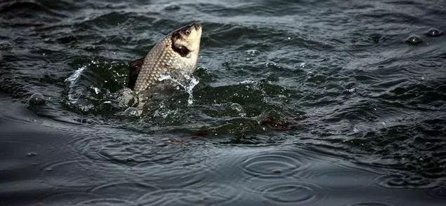 �������ŵ�����ϧ�㲻֪��