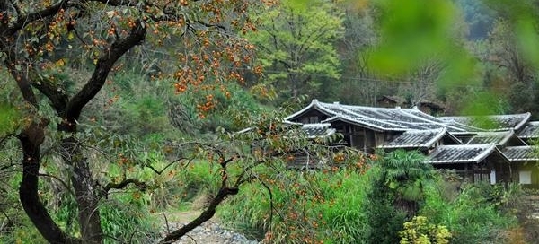 【纪检人·镜头】万物收藏 静待寒冬