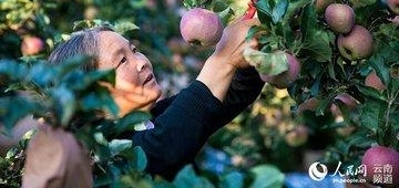 ƻ��Ҳ������ô�棿��ͨ���չ������Ϣ���ô�