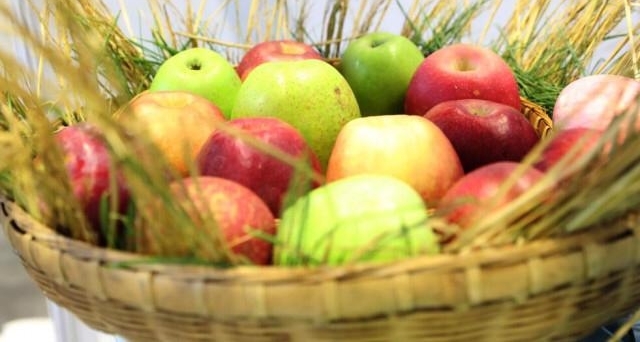 ƻ��Ҳ������ô�棿��ͨ���չ������Ϣ���ô�