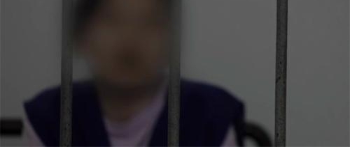 ¡°»Æ÷ÃÅ¡±Ê¼þÅ®Ö÷½Ç£º³¤µÃ˹˹ÎÄÎÄ Á½¸öÔÂ׬9Íò