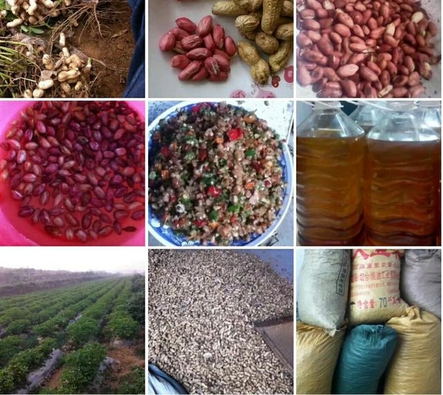 ƽ�ط��սڡ�����ϵ�ũ�塱