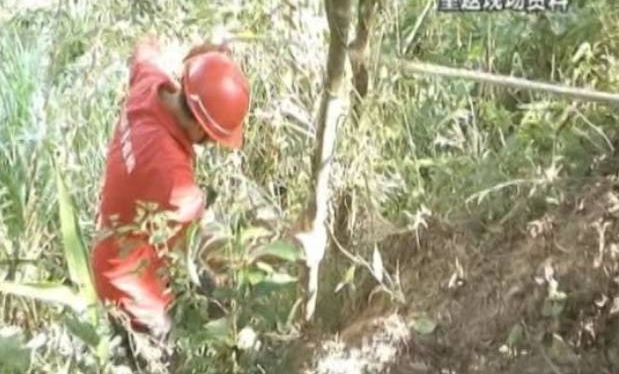 ŮӤճͱɽĸ׾ֱ׳˭ǸŮ